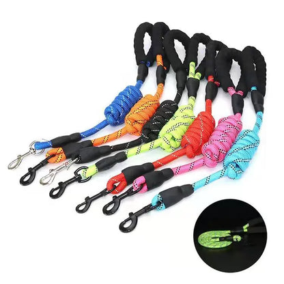 Paw Comfy Flex Leash - Soft Grip for HassleFree Walks